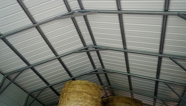20x41 Steel Carport