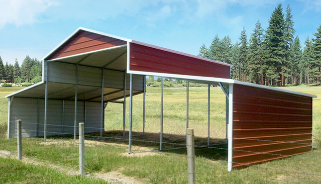 36x21x12 A-Frame Raised Center Aisle Barn